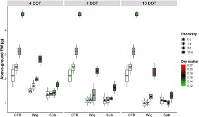 Photosynthetic and Growth Responses of Arundo donax L. Plantlets Under Different Oxygen Deficiency Stresses and Reoxygenation